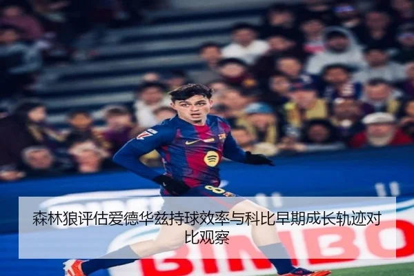 森林狼评估爱德华兹持球效率与科比早期成长轨迹对比观察
